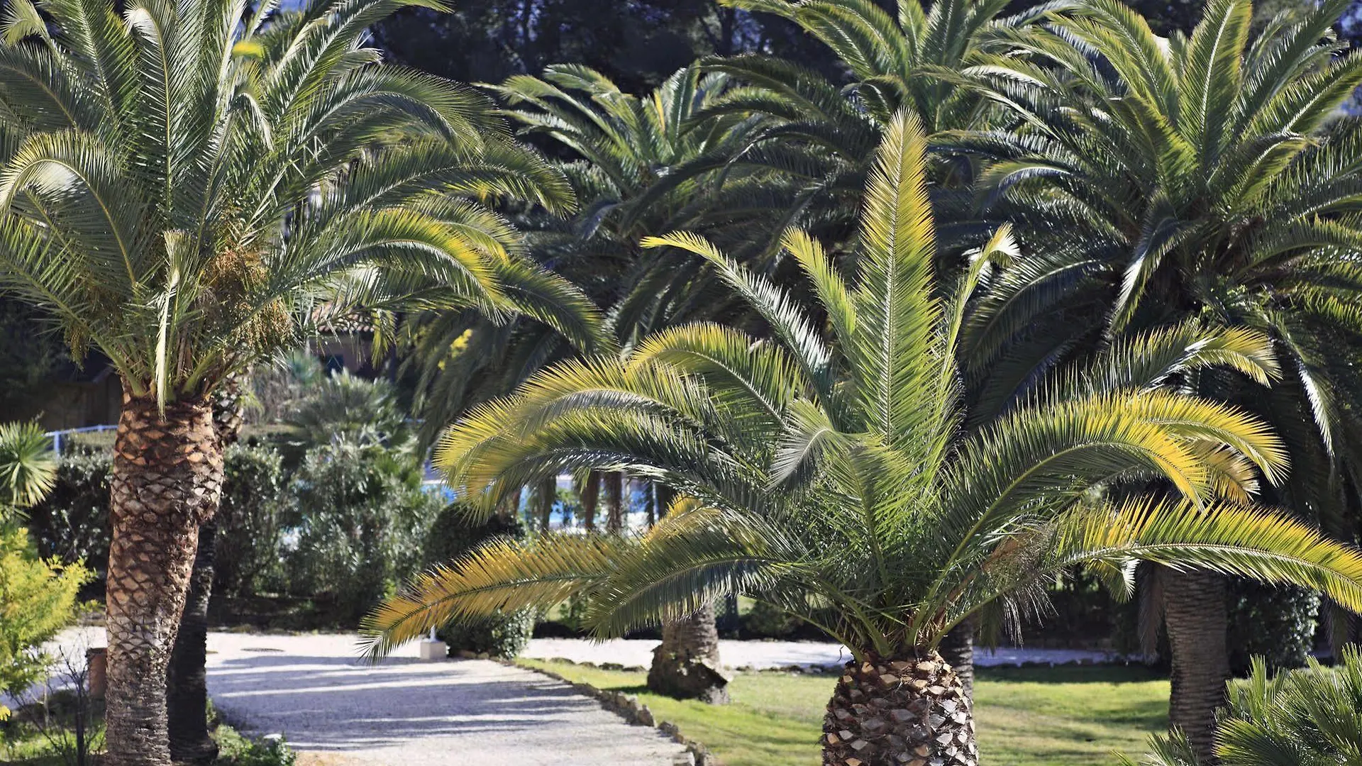 Grand Hotel Des Lecques; BW Signature Collection Saint-Cyr-sur-Mer 3*,